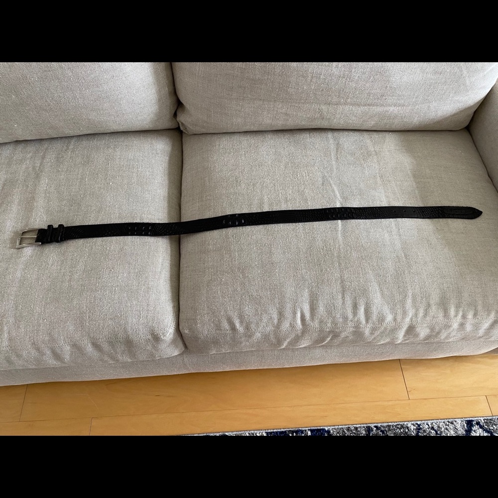 NEW and RARE Genuine Raised Crocodile Belt